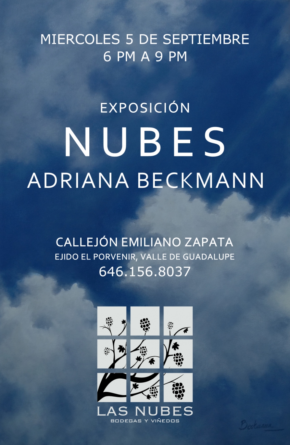EXPO NUBES
